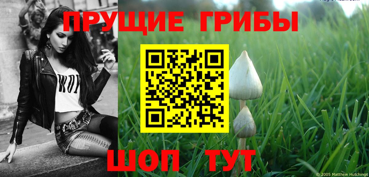 ГЕРОИН Камень-на-Оби