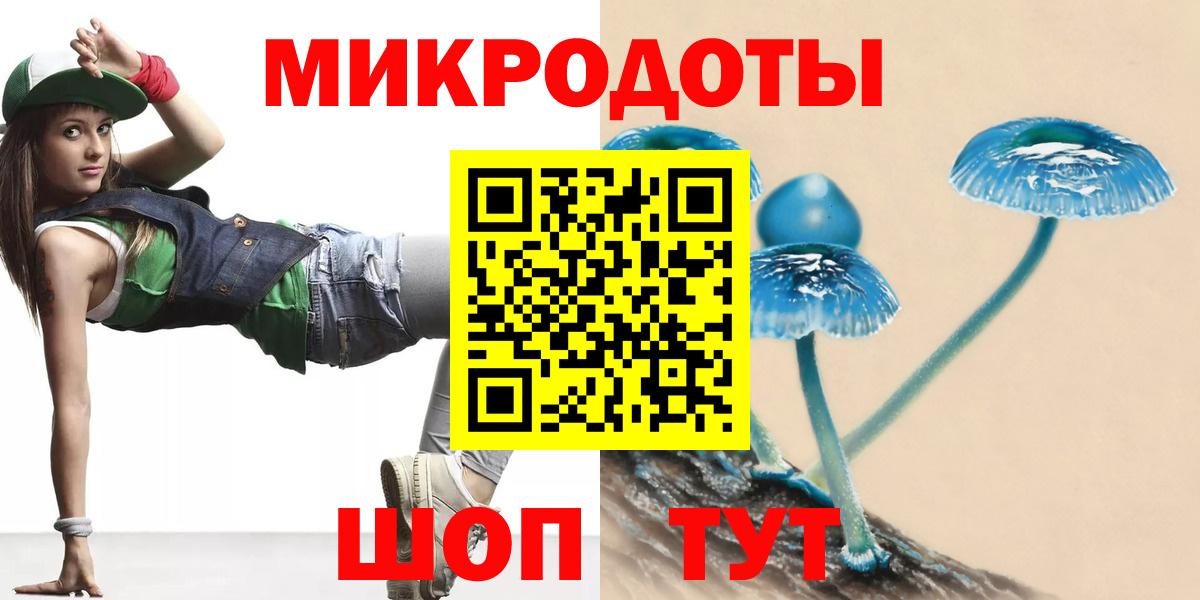 Галлюциногенные грибы Cubensis  Вход с VPN  Камень-на-Оби 